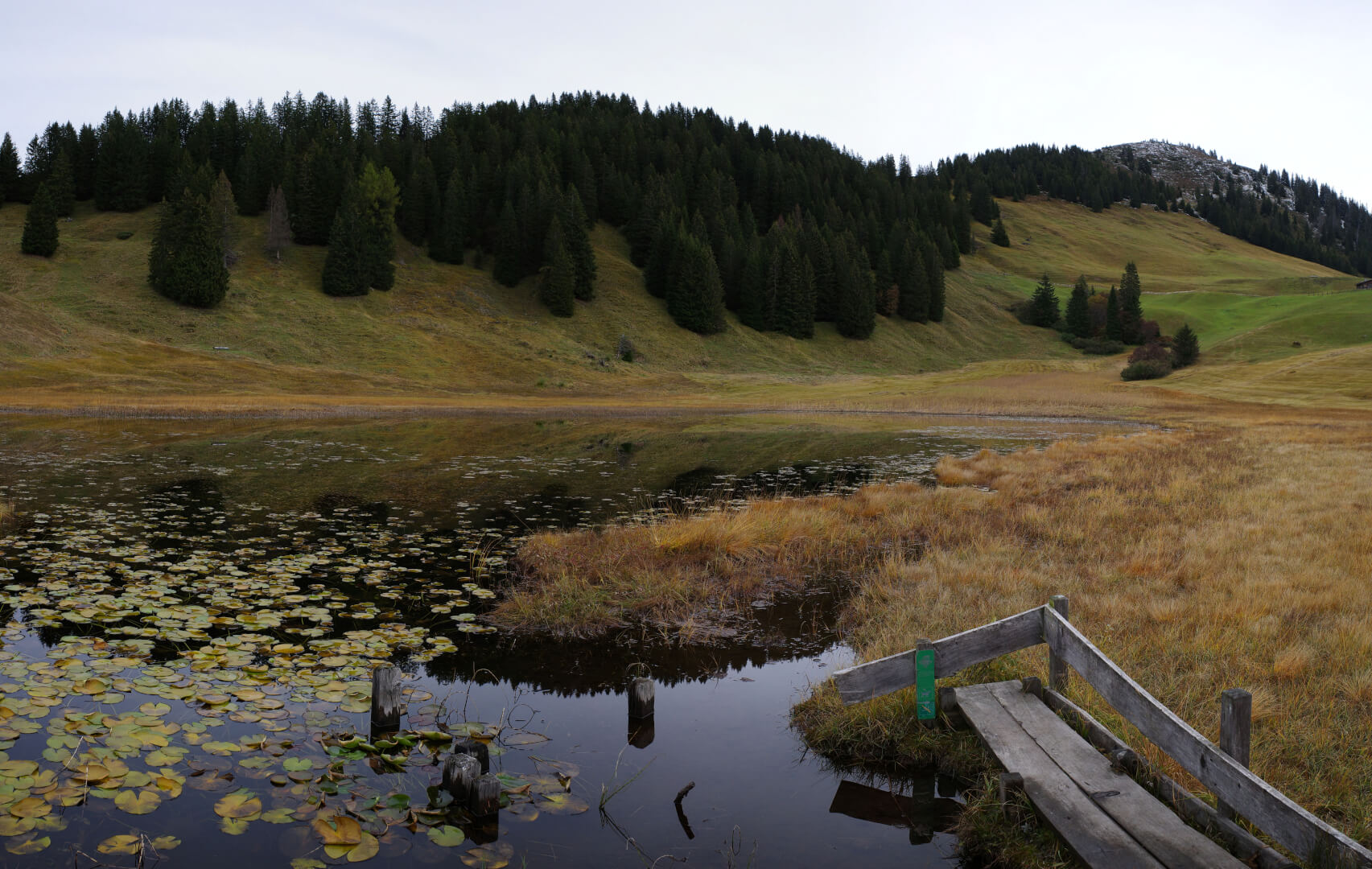 Naturschutzgebiet Stelsersee