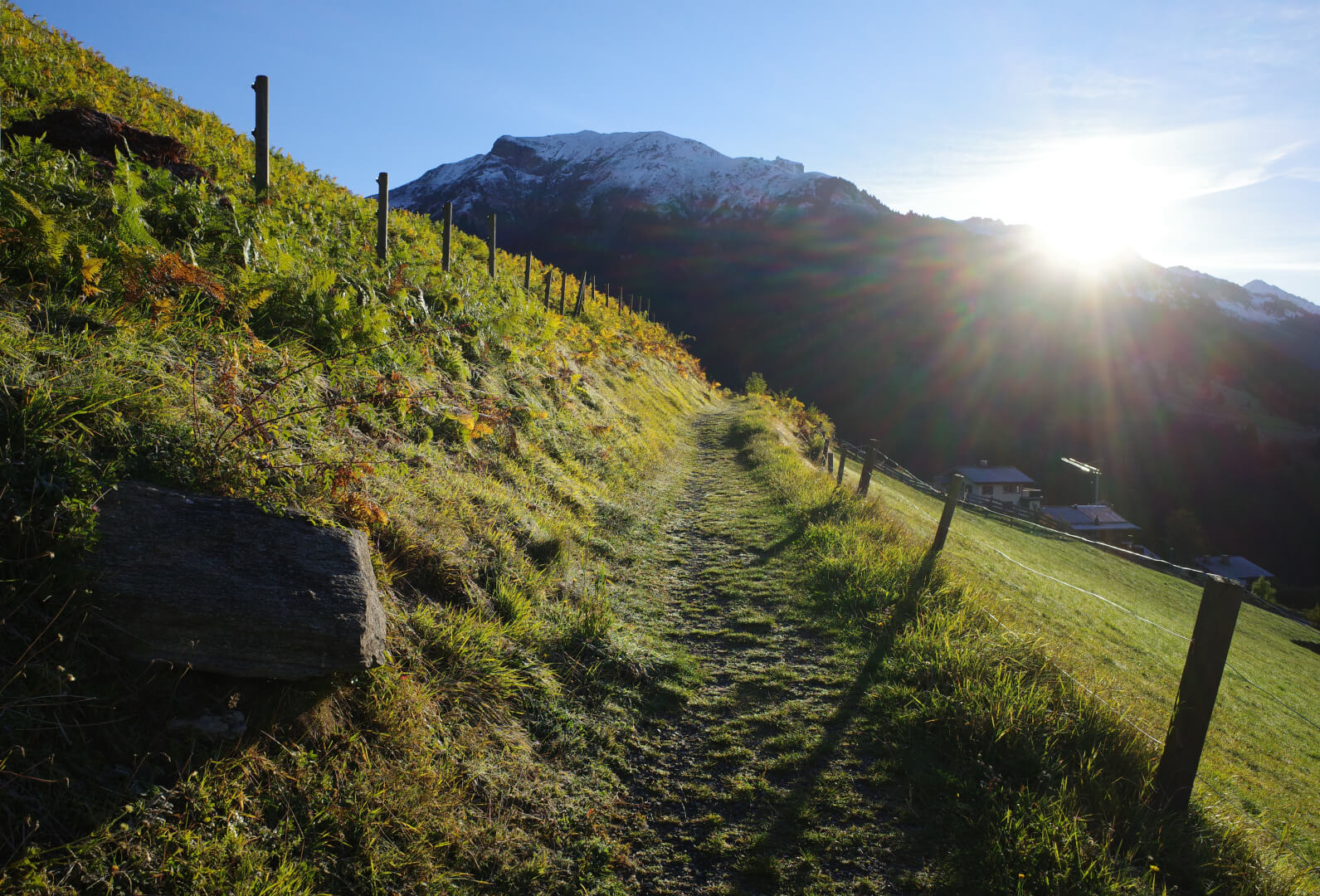 Wanderweg der Sonne entgegen