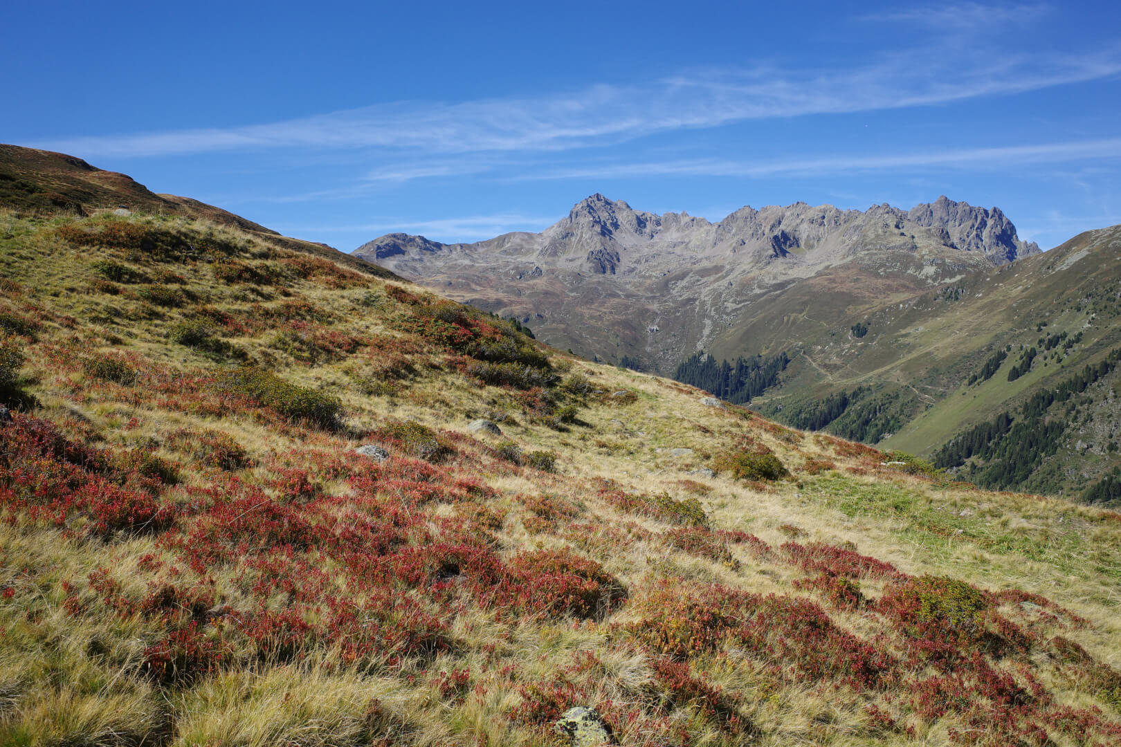 Madrisa