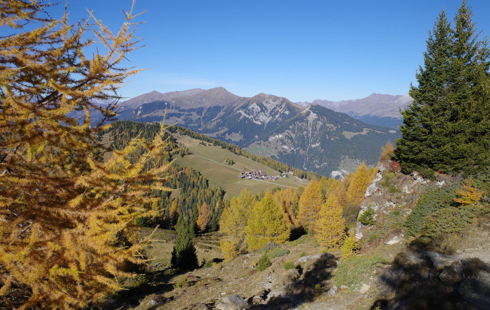 Obermutten mit Lärchen