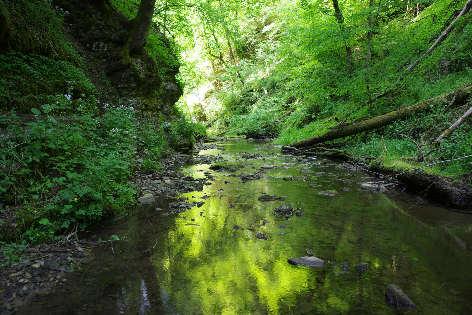 Gauchachschlucht