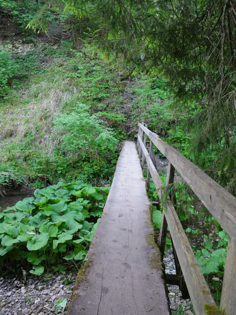 Holzsteg