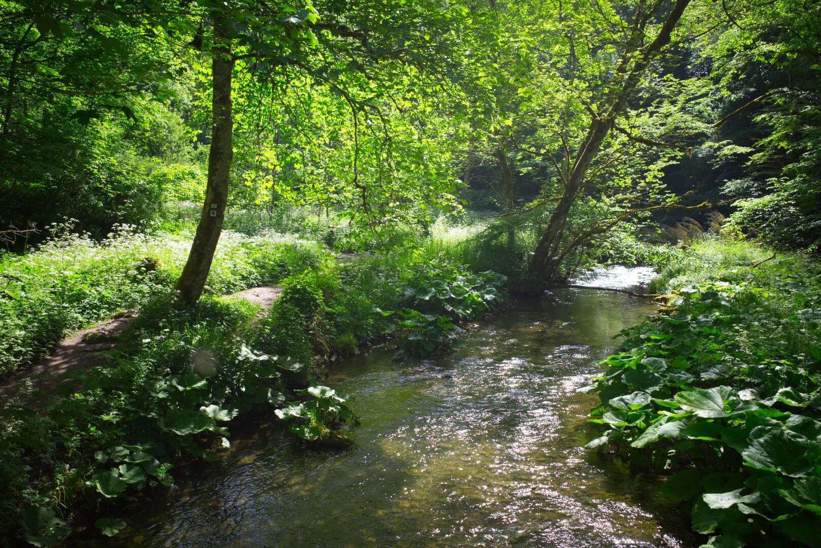 Idyllischer Weg
