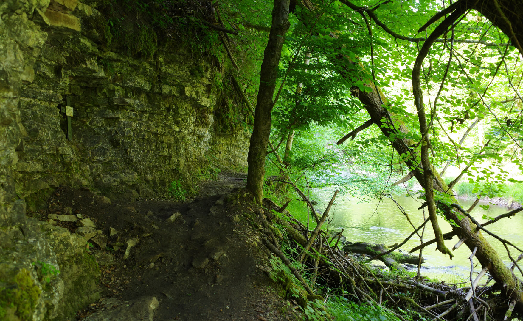 Muschelkalkfelsen