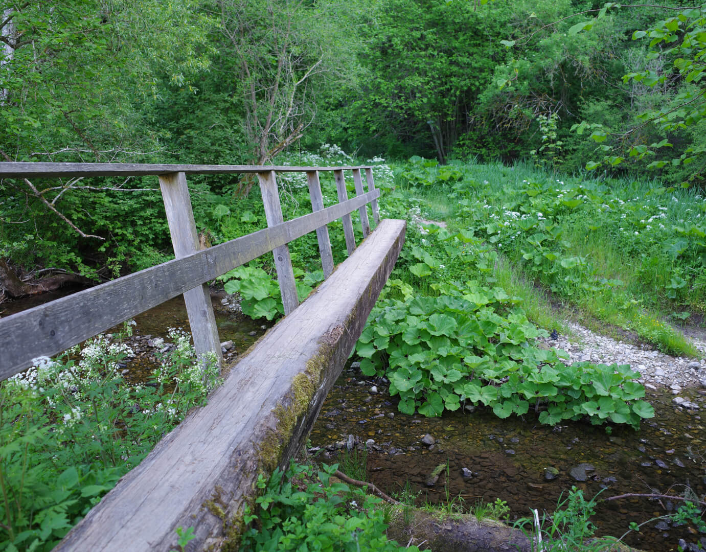 Schmale Brücke
