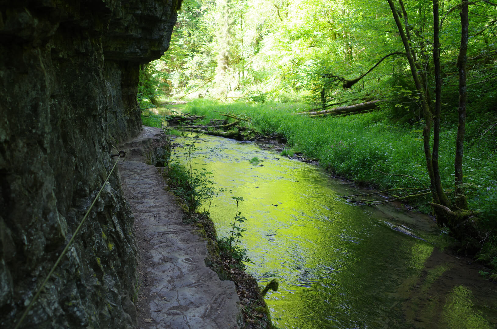 Wanderweg Gauchachschlucht