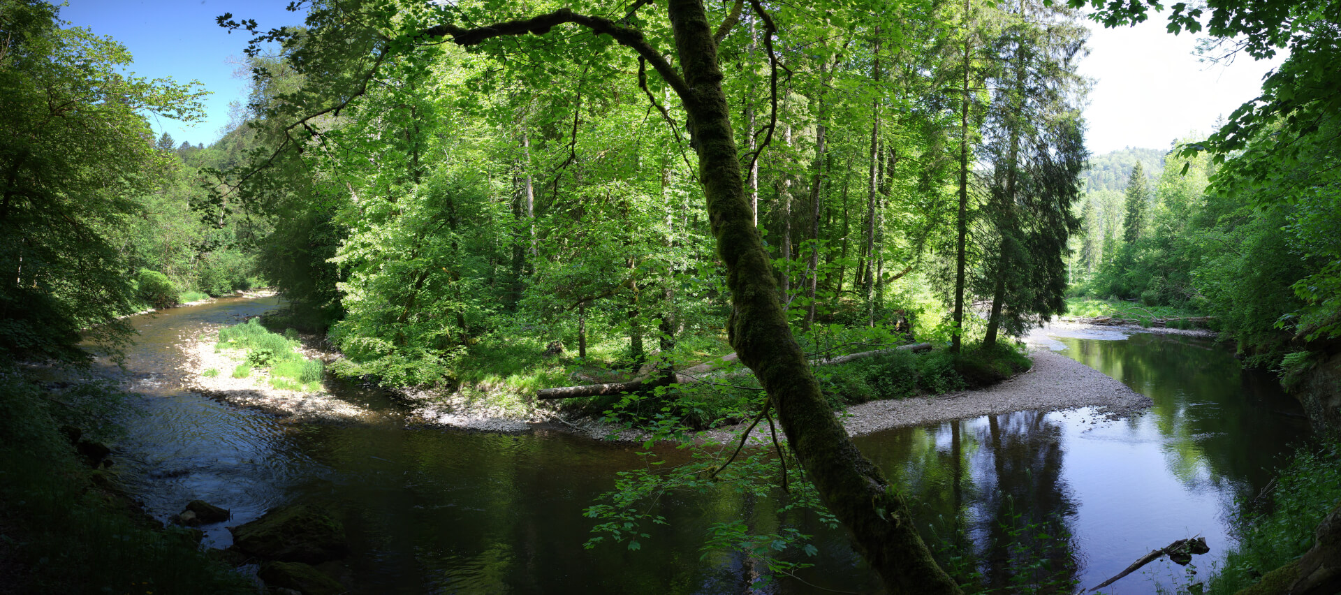 Wutach