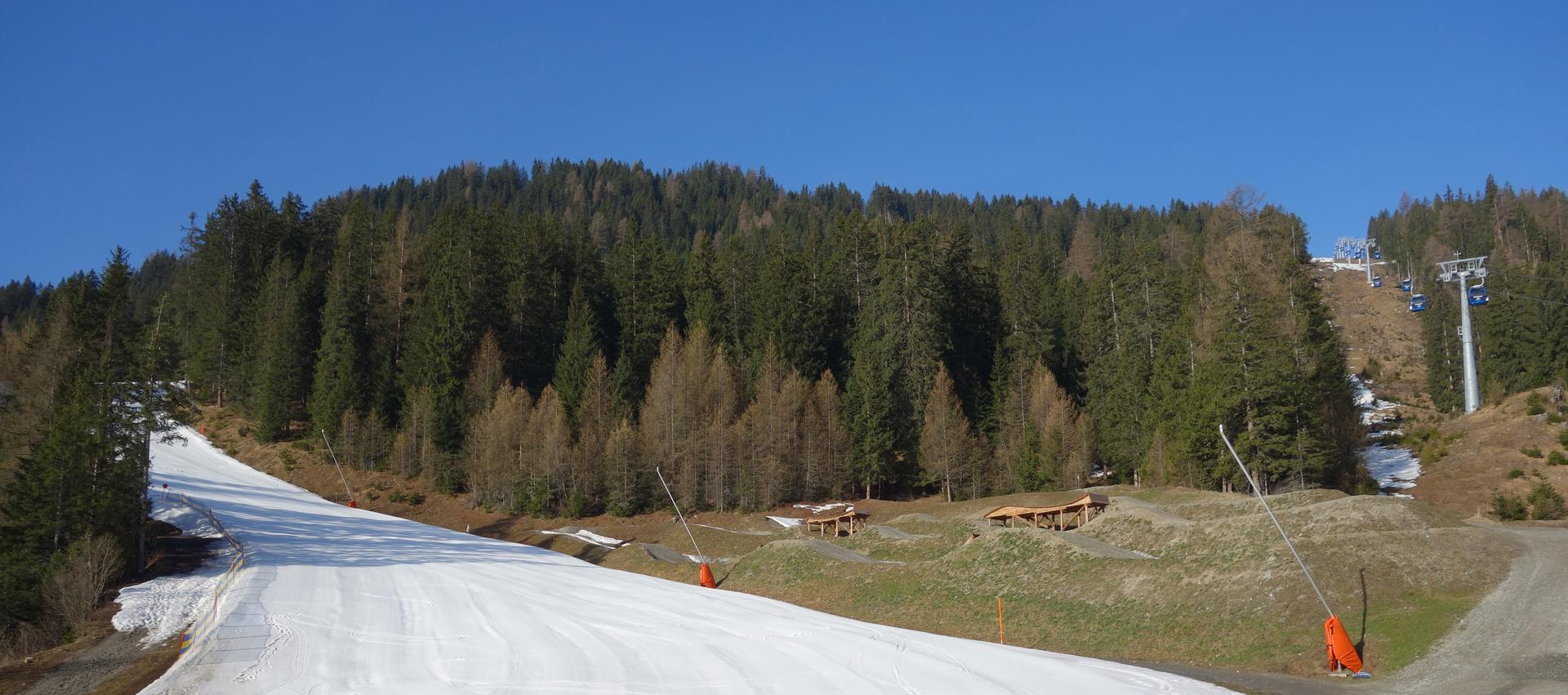 Talabfahrt Waldbahn