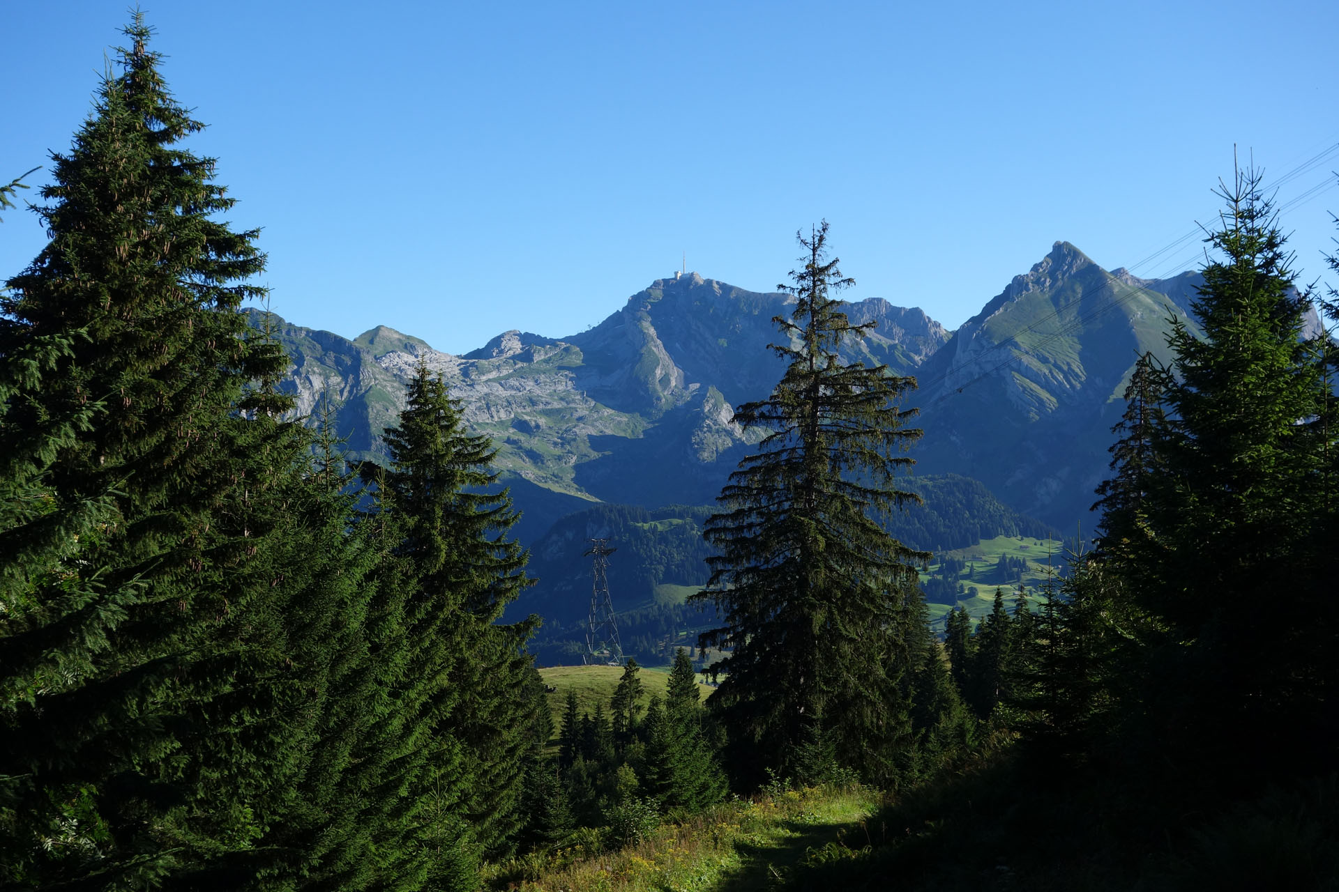 Waldweg