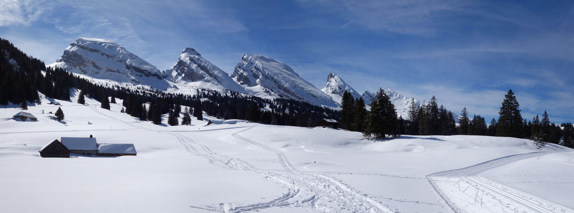 Schneeschuhwandern Sellamatt