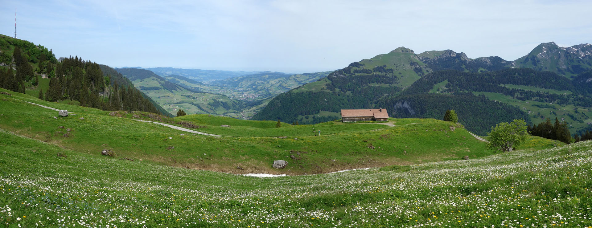 Alp im Toggenburg