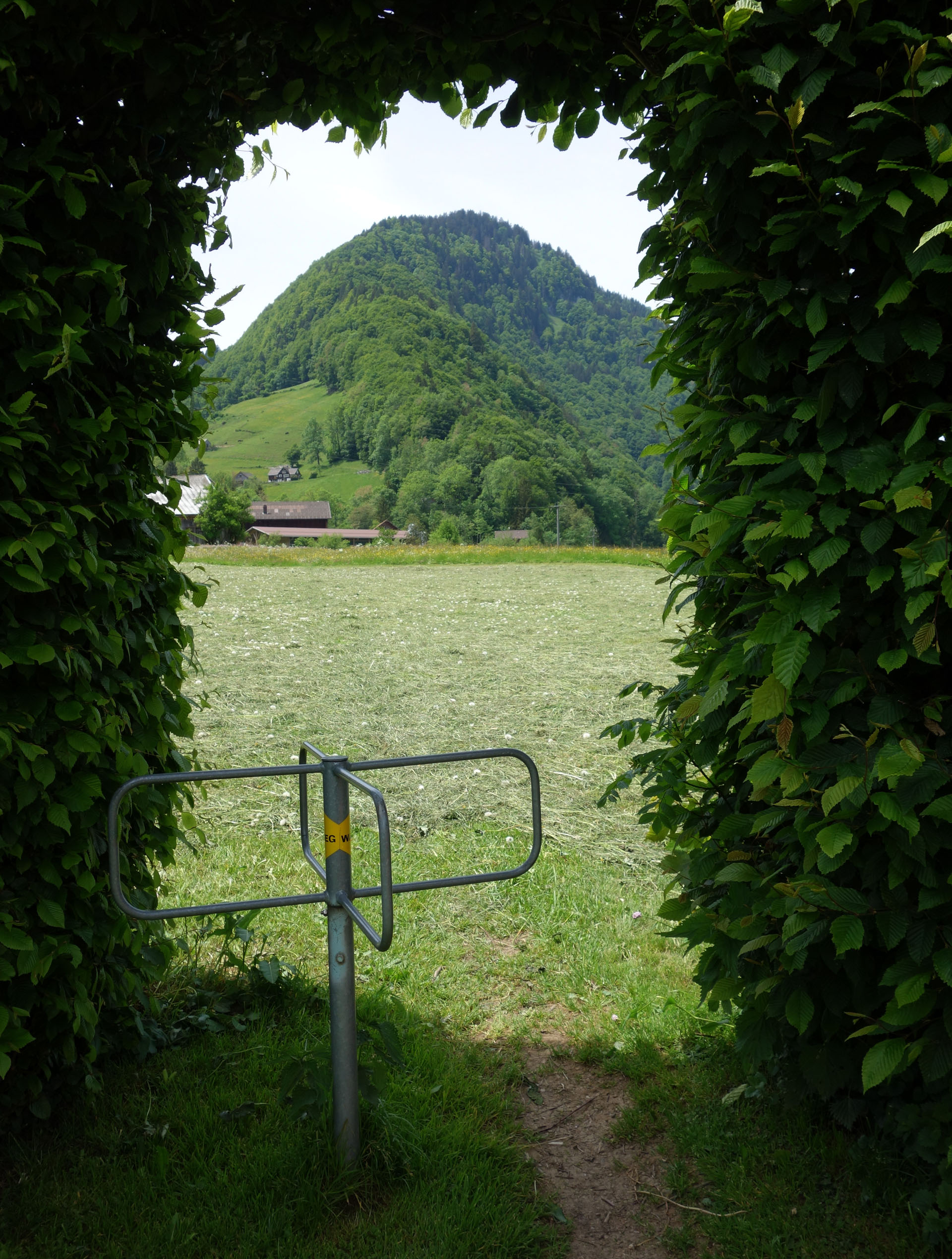 Durchgang durch Hecke