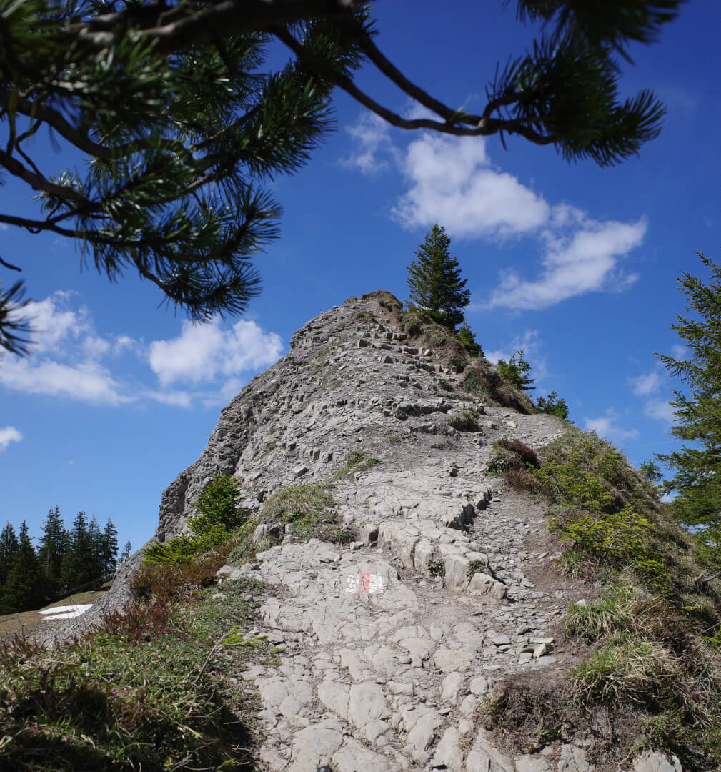 Bergweg Flügenspitz