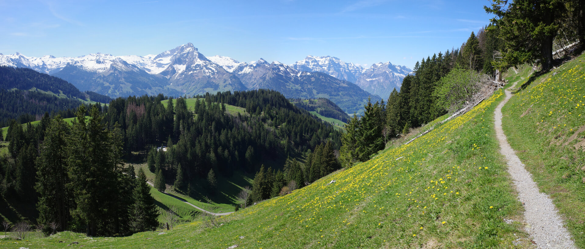 Toggenburger Höhenweg