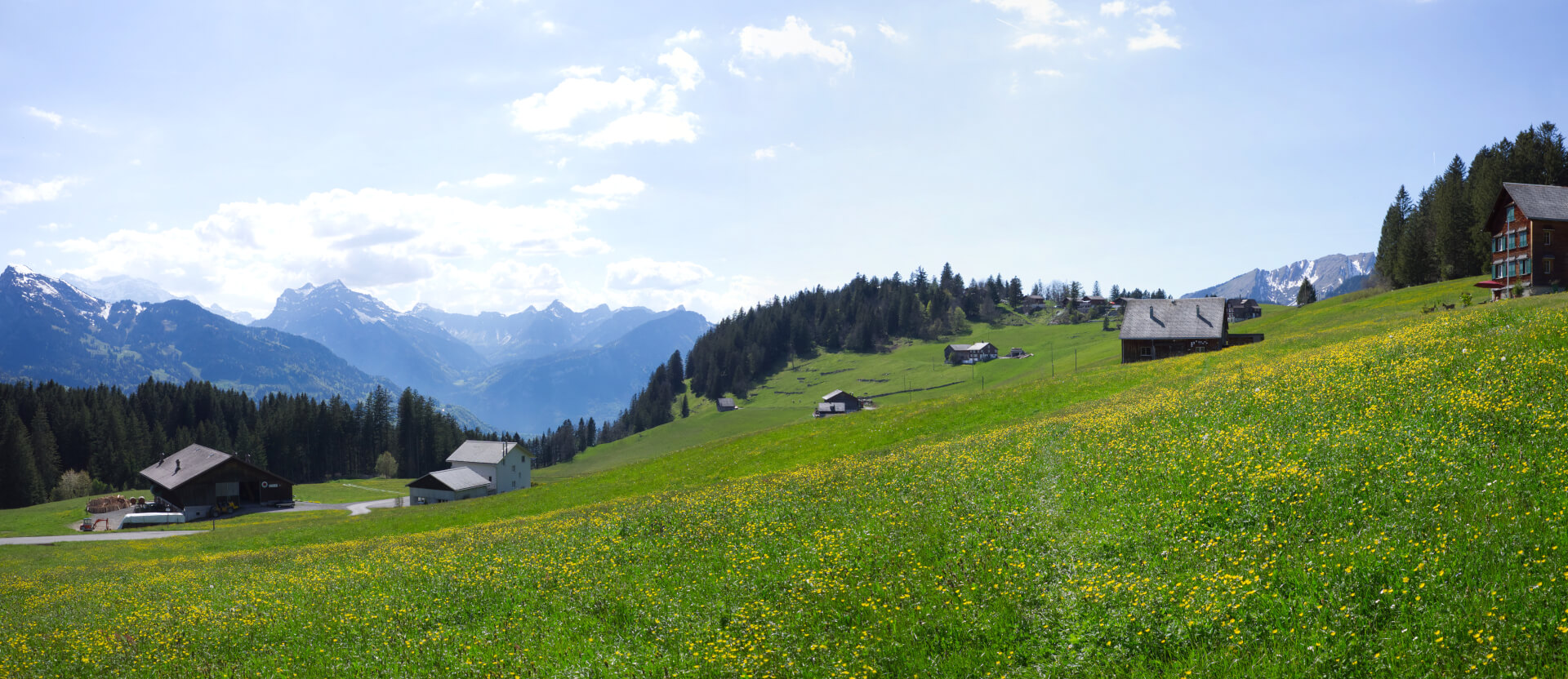 Weg über Blumenwiese