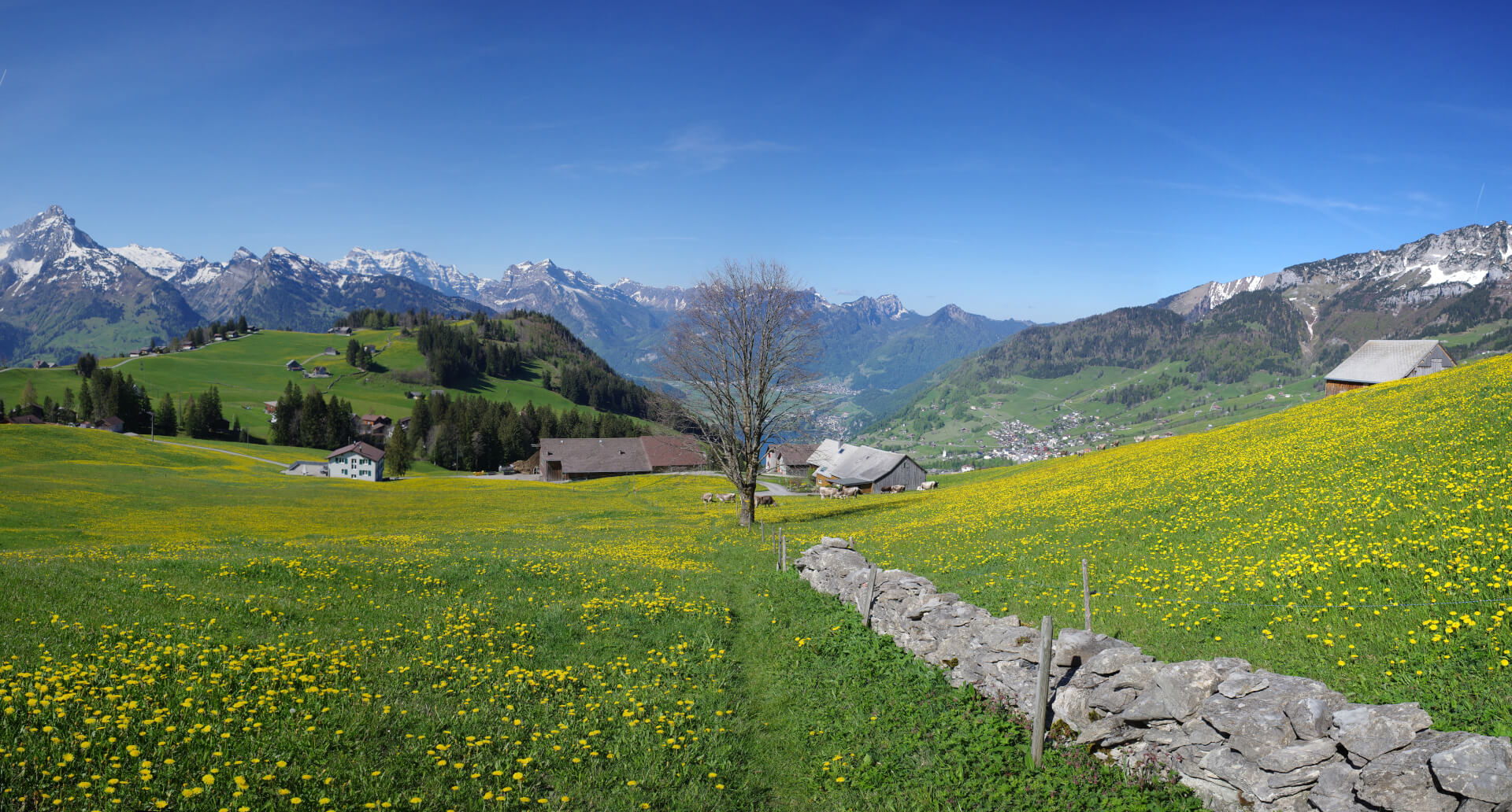 Wiesenweg an Steinmauer