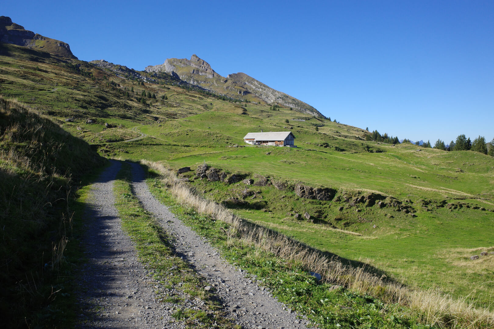 Alp Hinterselun