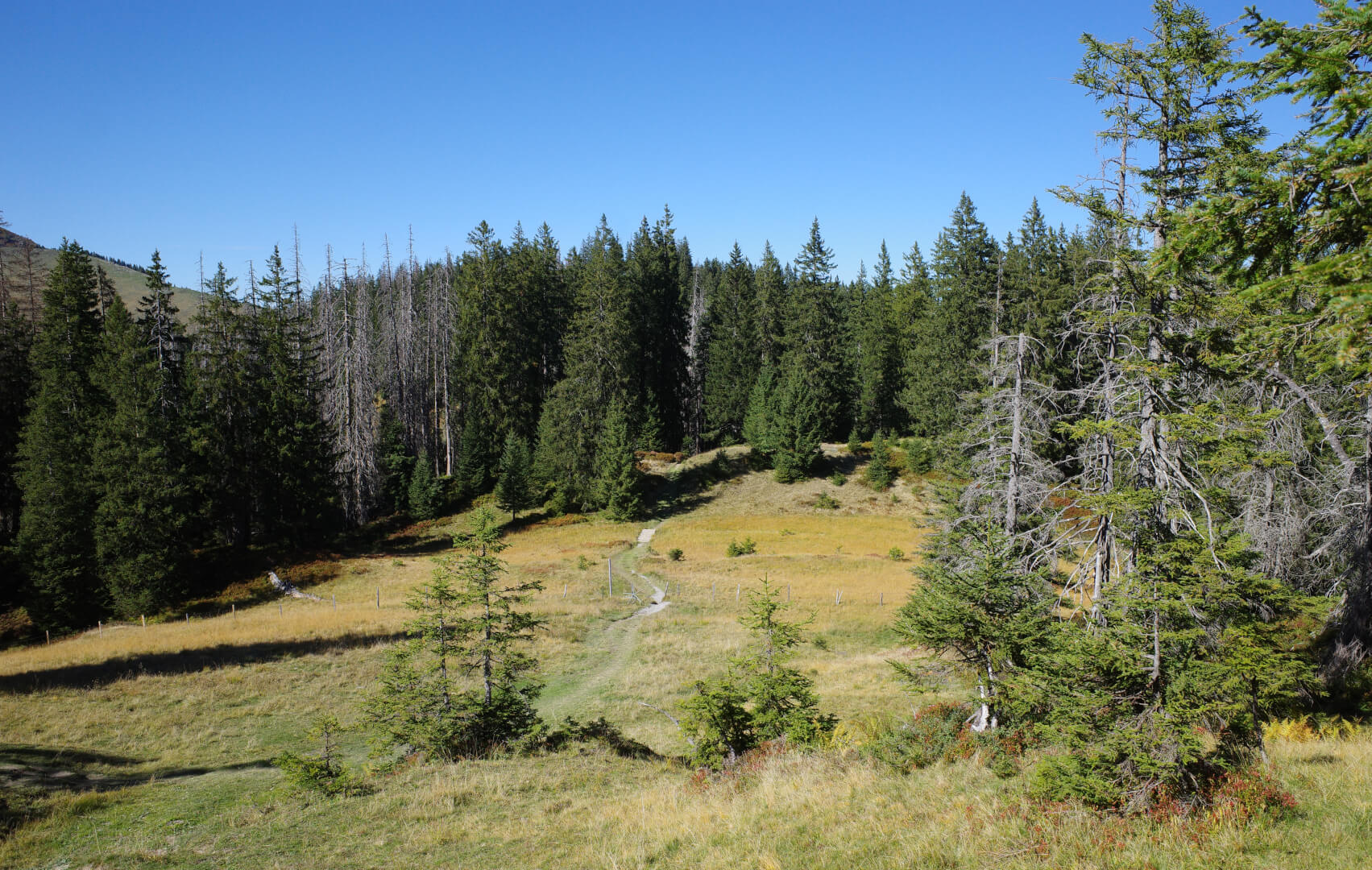 Hochmoor