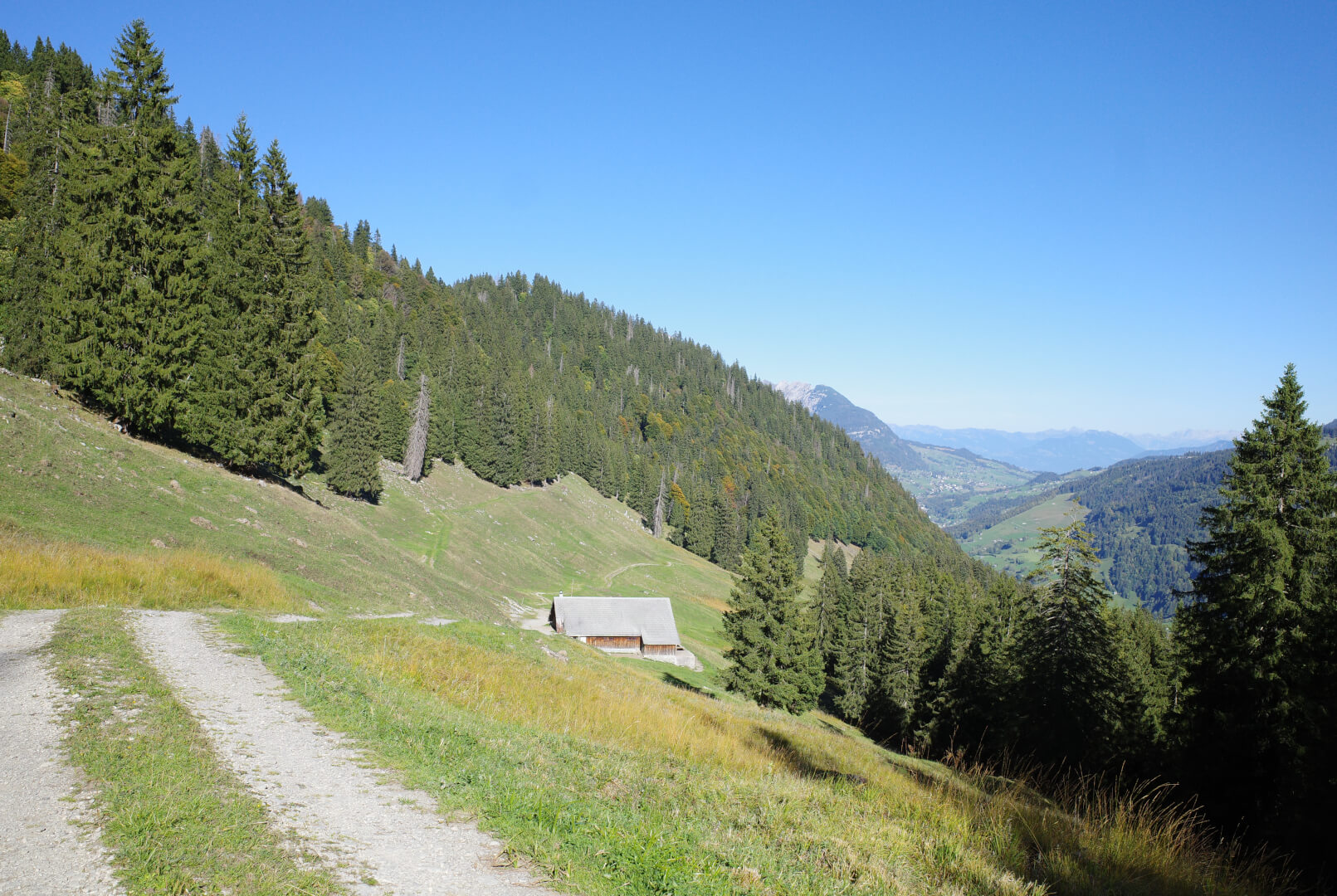 Weg zur Alp Arsch