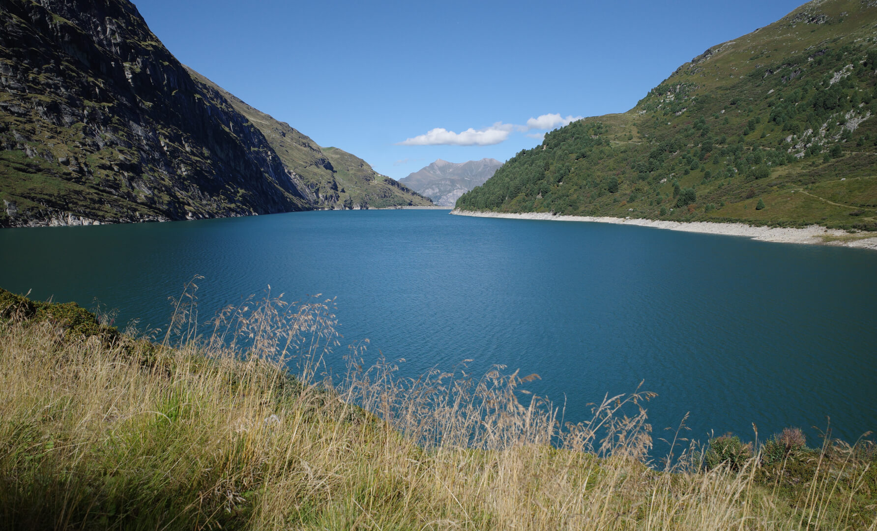 Blauer See mit gelbem Gras