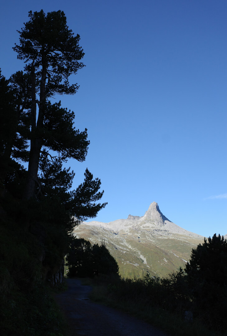 Spazierweg Zervreila