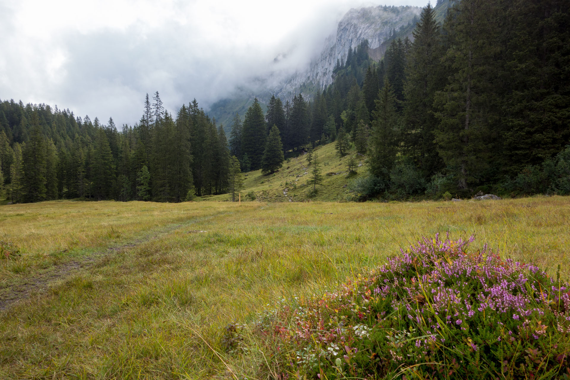 Hochmoor Oberalp