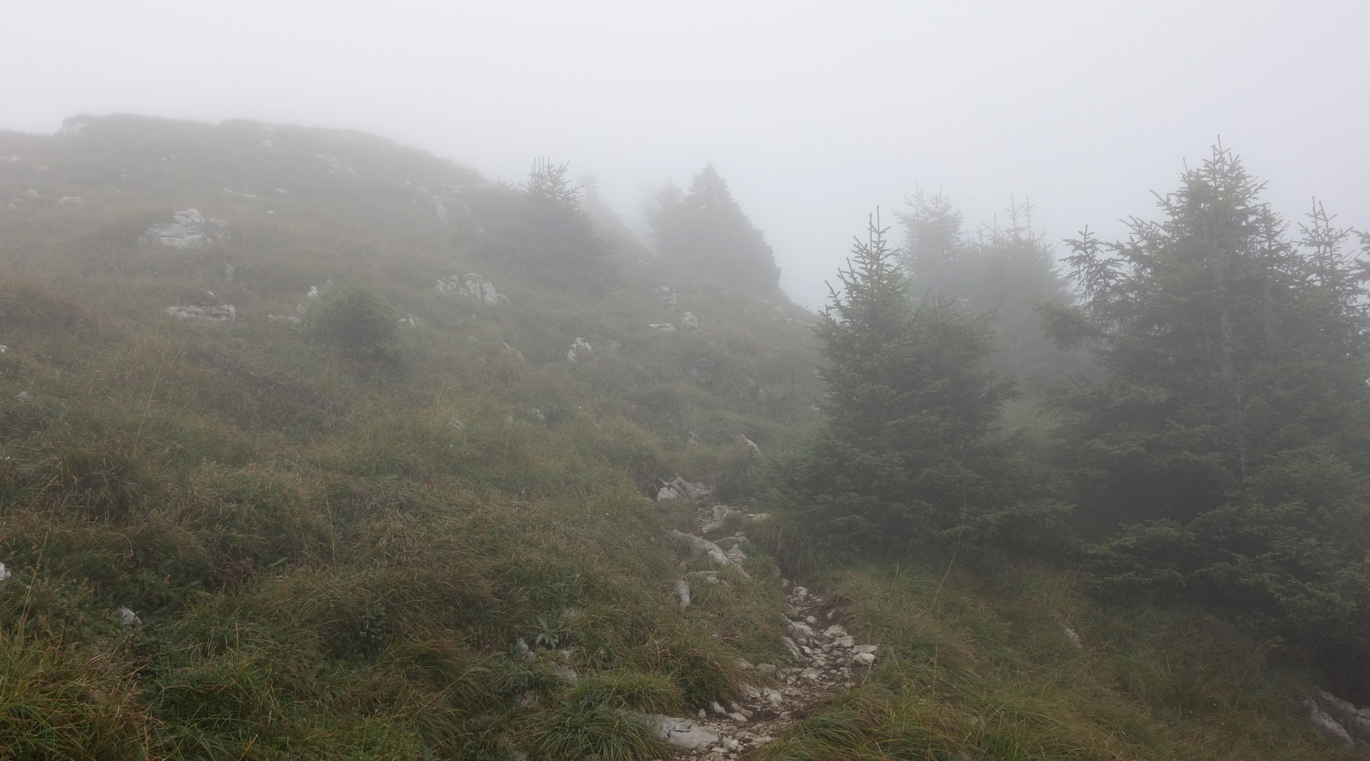 Wandern im Nebel